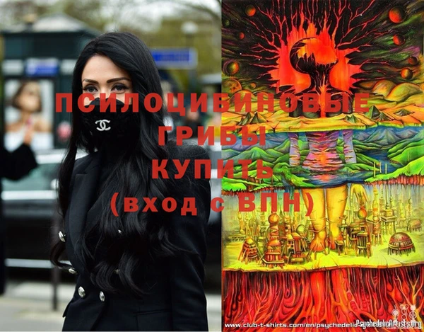 меф Арсеньев