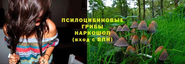винт Аркадак